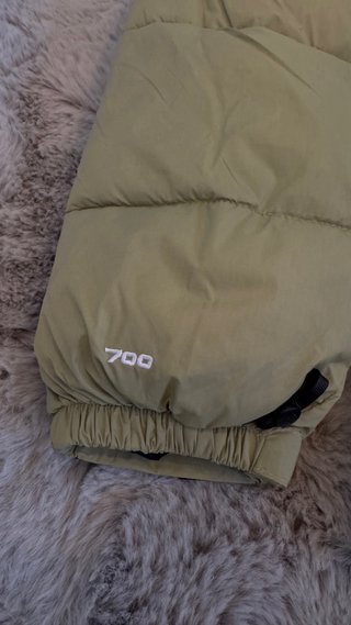 Chaqueta The North Face 700 Nupste Verde