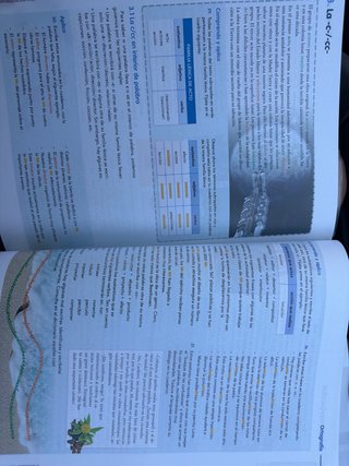 Lengua castellana y Literatura