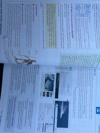 Lengua castellana y Literatura