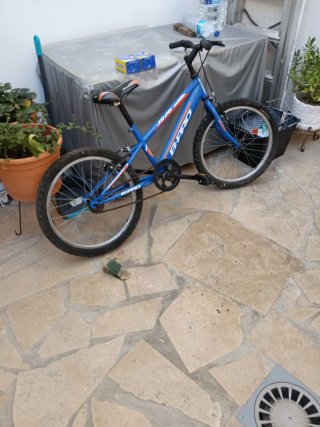 Bicicleta B-PRO JR 20