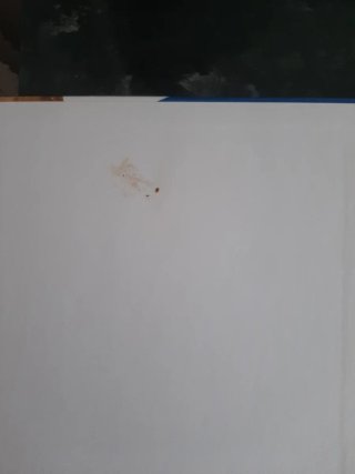 Libro L'Universo: pianeti, stelle, galassie