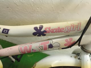 Bicicleta niña Skate girl 20