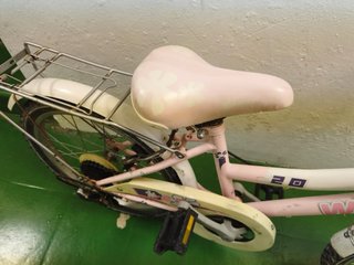 Bicicleta niña Skate girl 20