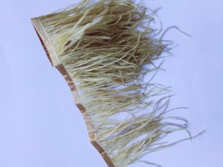 Tira de plumas de avestruz