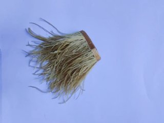 Tira de plumas de avestruz