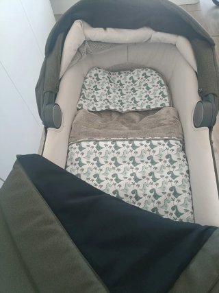 Set carro inglesina Aptica XT verde