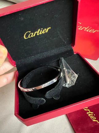 Pulsera LOVE Cartier Plata Acero Inoxidable