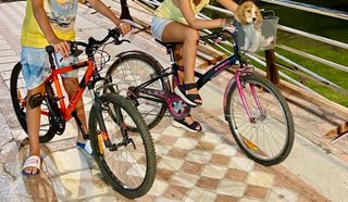 Bicicleta infantil BTWIN Poply 500