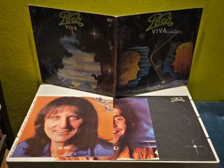 Lotto 10 copertine vuote Italian prog NO vinili!