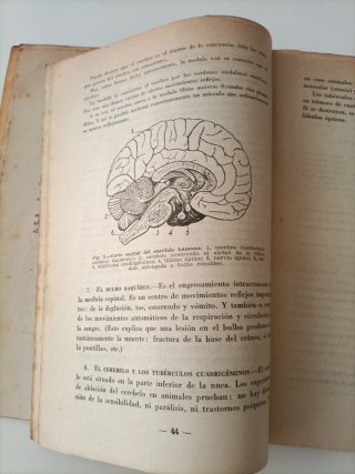 Psicólogia experimental pedagógica.