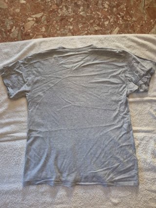 Camiseta Champion Gris Talla L