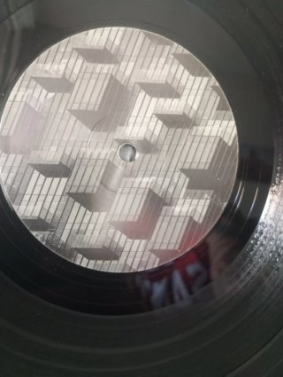 Vinilo The Reason Y - Unparalleled