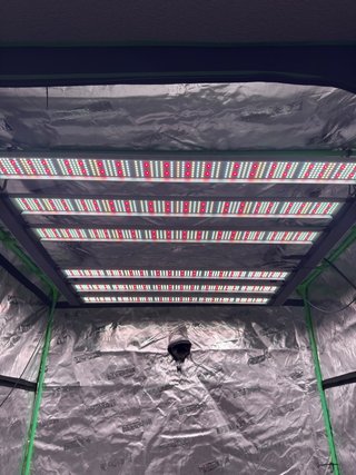MIGRO ARAY 750W LED Cultivo