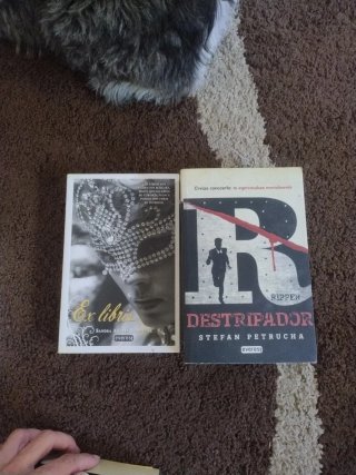 Lote juvenil, fantasía y misterio – 8 libros