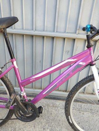 Bicicleta Morada Aro 26