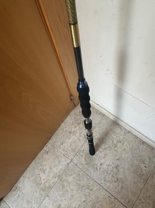 Caña de pesca CURRY JIGGING