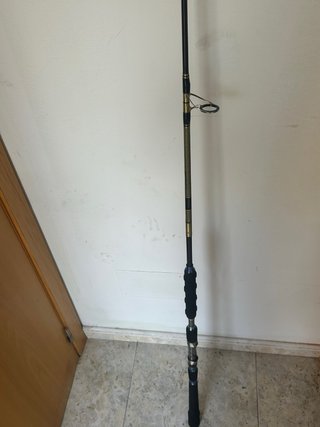 Caña de pesca CURRY JIGGING