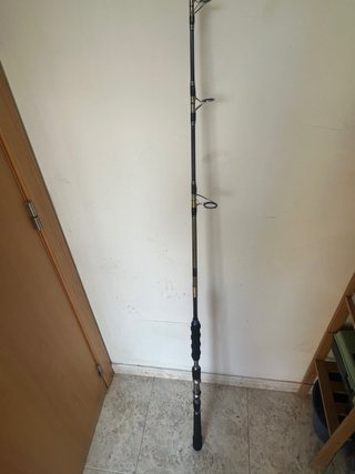 Caña de pesca CURRY JIGGING