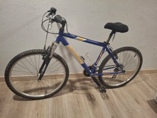 Bicicleta de Montaña Di Terzo