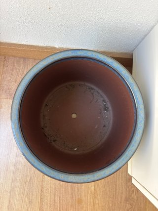 Maceta cerámica azul y marrón