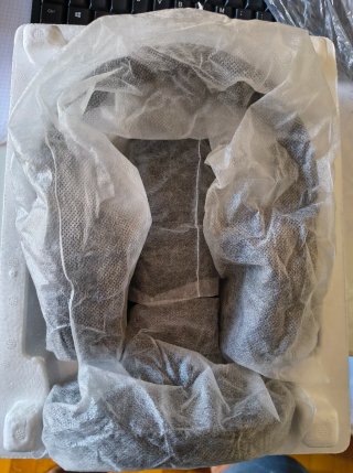 Sony RF895RK Auriculares Inalámbricos