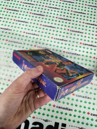 Art of Fighting Super Nintendo PAL