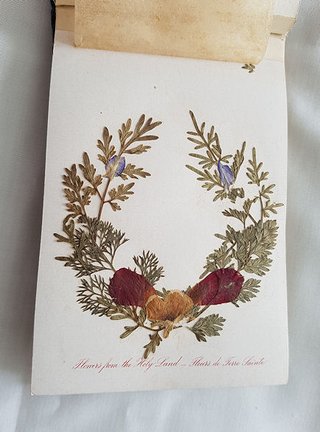ALBUM HERBARIO FLORES DE TIERRA SANTA 1920