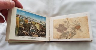 ALBUM HERBARIO FLORES DE TIERRA SANTA 1920