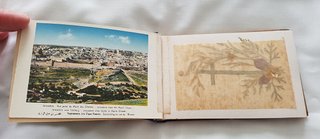 ALBUM HERBARIO FLORES DE TIERRA SANTA 1920