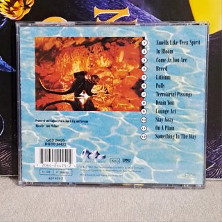 NIRVANA - Nevermind