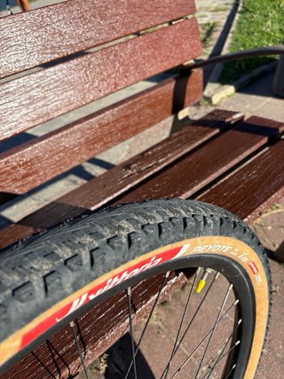 Orbea Alma M50