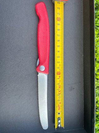 Coltello Victorinox Swiss Made Rosso