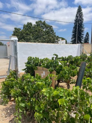 Parcela segregada