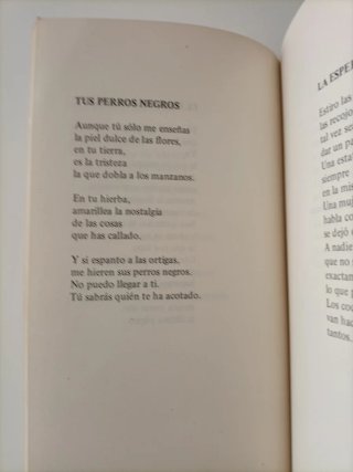 Cuando las horas son fuego