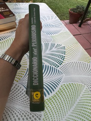 Diccionario del periodismo