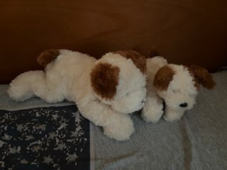 2 peluches perritos, diferentes tamaños