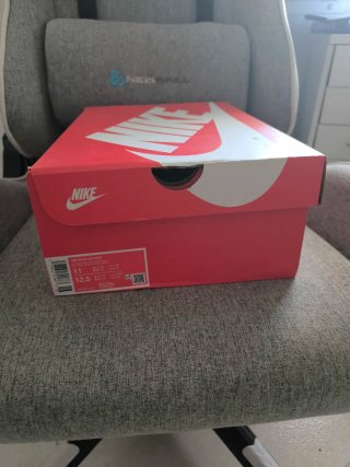 Nike Air Max DN NRG Talla 45
