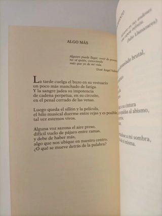 Quien ha visto un ambleo?