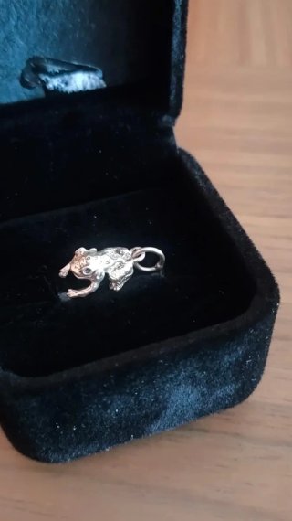 Colgante rana pequeña de plata