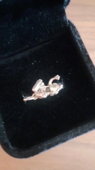 Colgante rana pequeña de plata