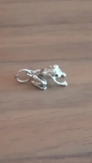 Colgante rana pequeña de plata