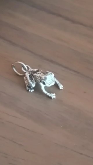 Colgante rana pequeña de plata