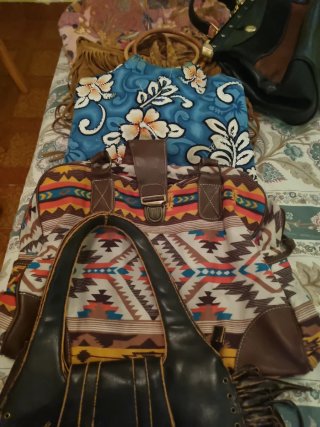 Lote de Bolsos