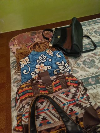 Lote de Bolsos