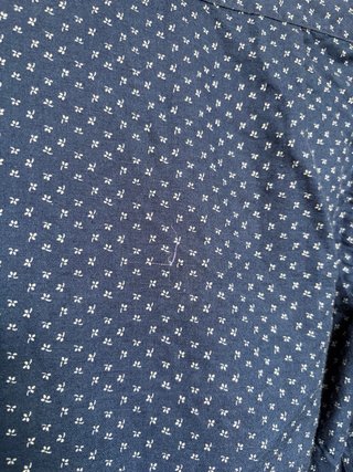 Camisa Carolina Herrera Azul Estampada