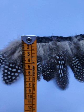 Tira de plumas decorativas