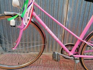 Bicicleta clasica Torrot Venezia Rosa