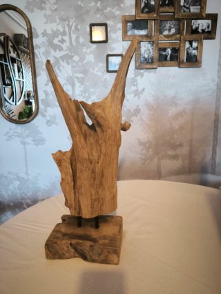 Escultura Madera Orgánica Decorativa