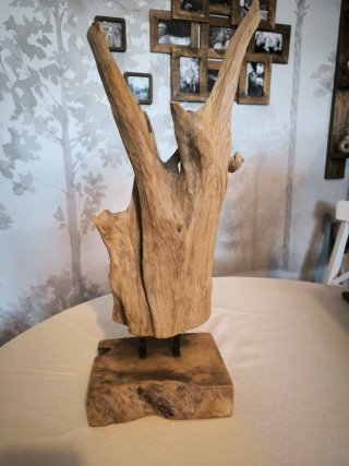 Escultura Madera Orgánica Decorativa