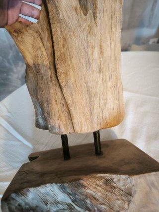 Escultura Madera Orgánica Decorativa